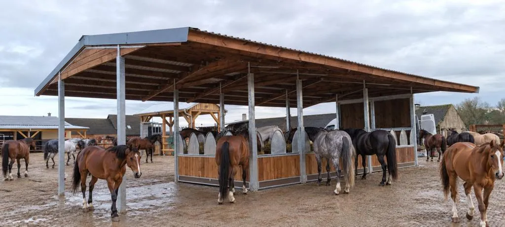 Heuraufe für Pferde - Weideheuraufe & Pferdeheuraufe kopen WEIDE & PADDOCK