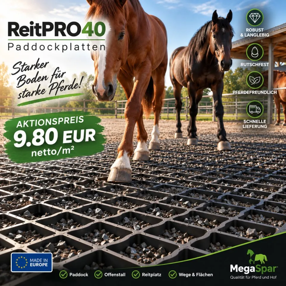 Extrem robuste Paddockplatten für Pferde & Rasengitter kaufen ReitPRO 40