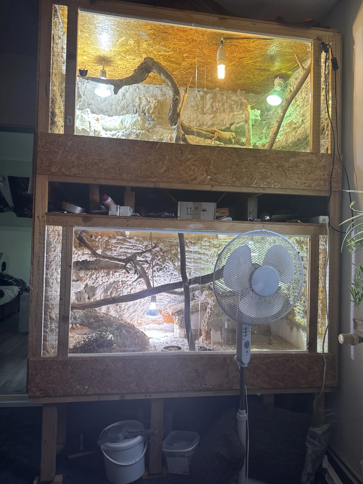 Doppelstöckiges Terrarium plus Bewohner